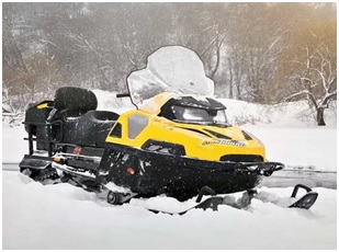 S600 VIKING Stels