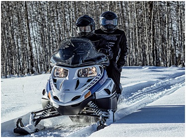 BEARCAT 2000 LT BLUE Arctic Cat